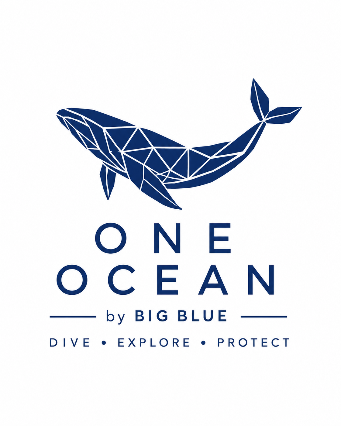 One Ocean by Big Blue