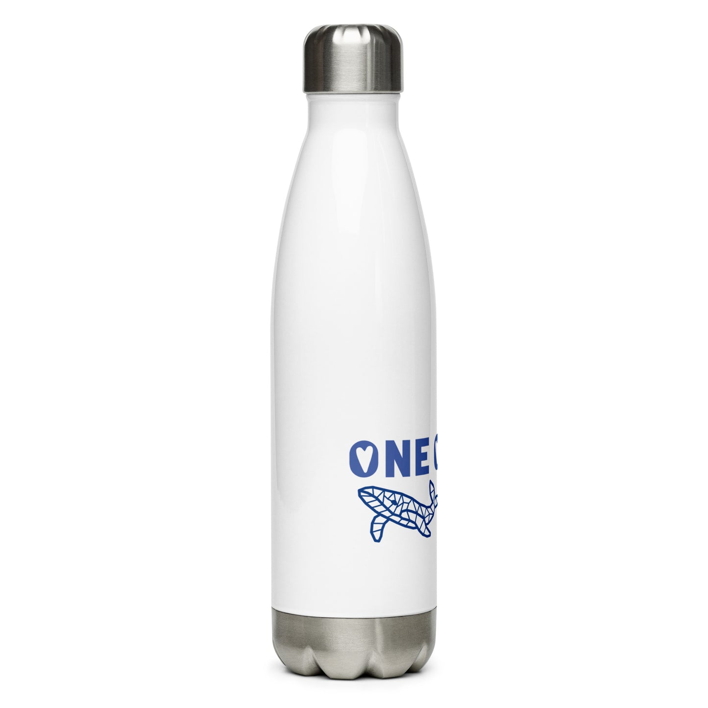 Stainless Steel Water Bottle